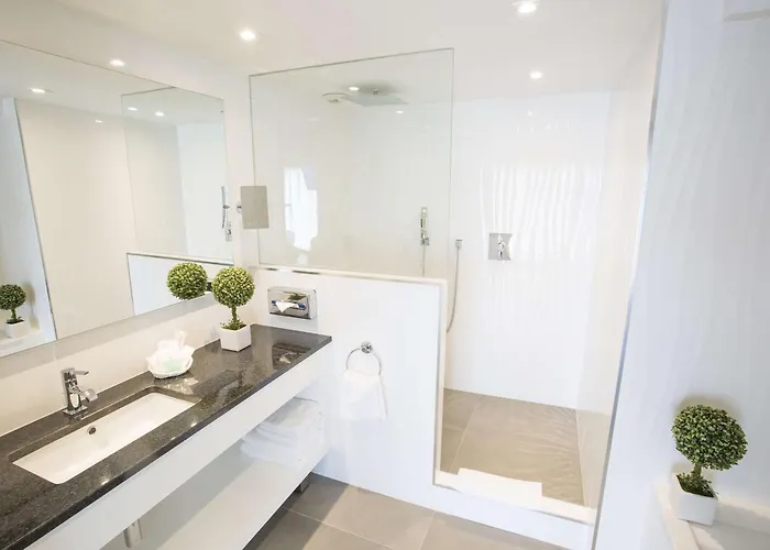 Hotel Western Riviera&spa Cannes